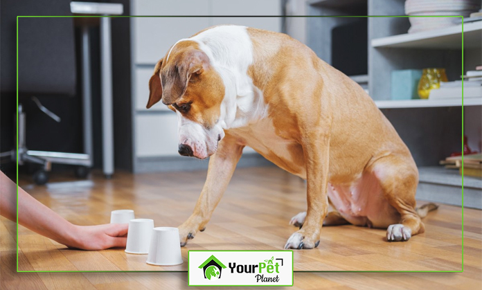 a dog sitting on the floor with a hand reaching for cups