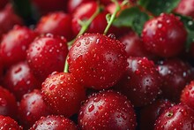 a group of red cherries with water drops on them