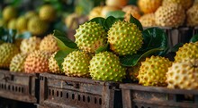 a group of round yellow fruits