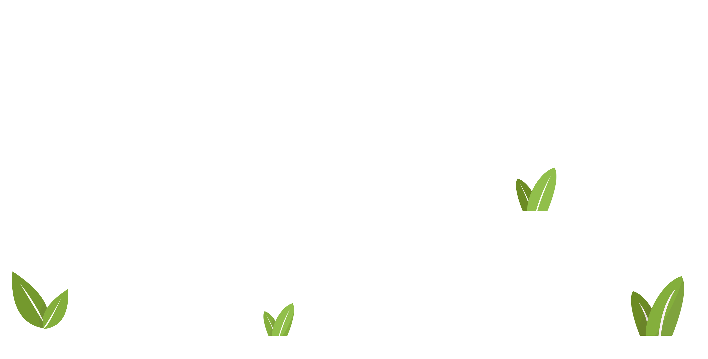 a black screen with green leaves