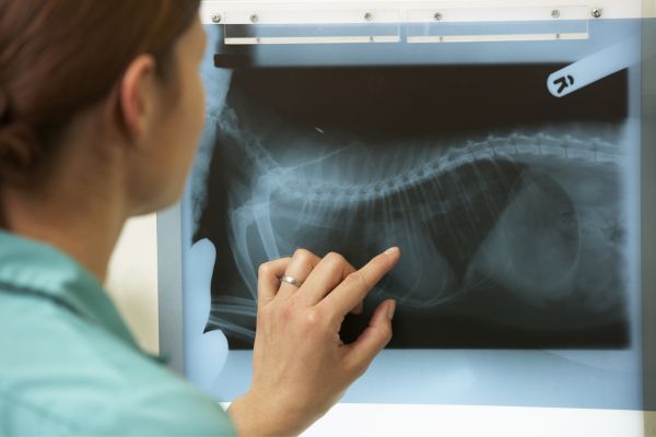a woman looking at an x-ray
