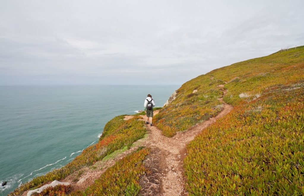 a person walking on a path on a hill overlooking the ocean