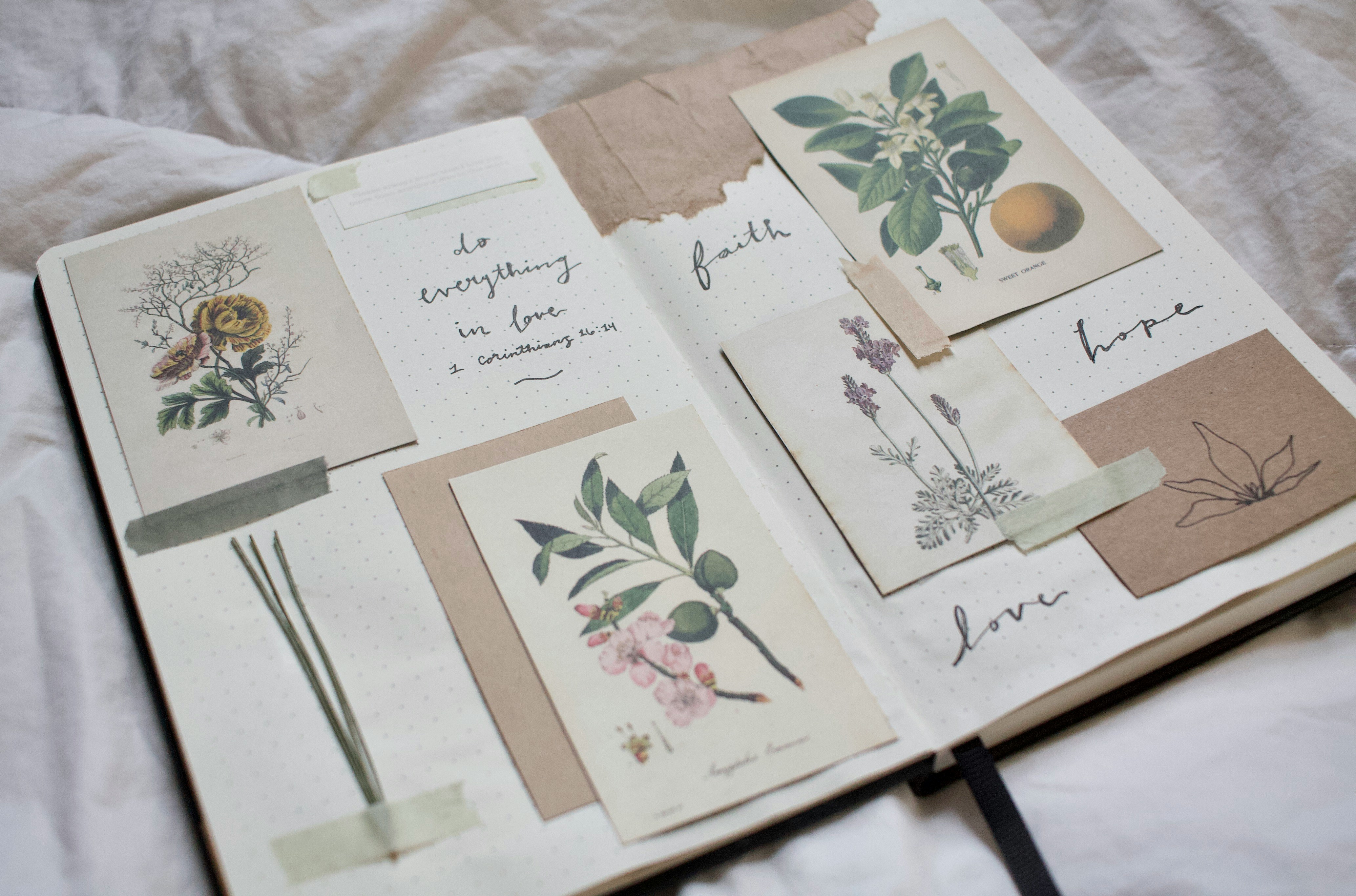 a book with pictures of flowers and notes