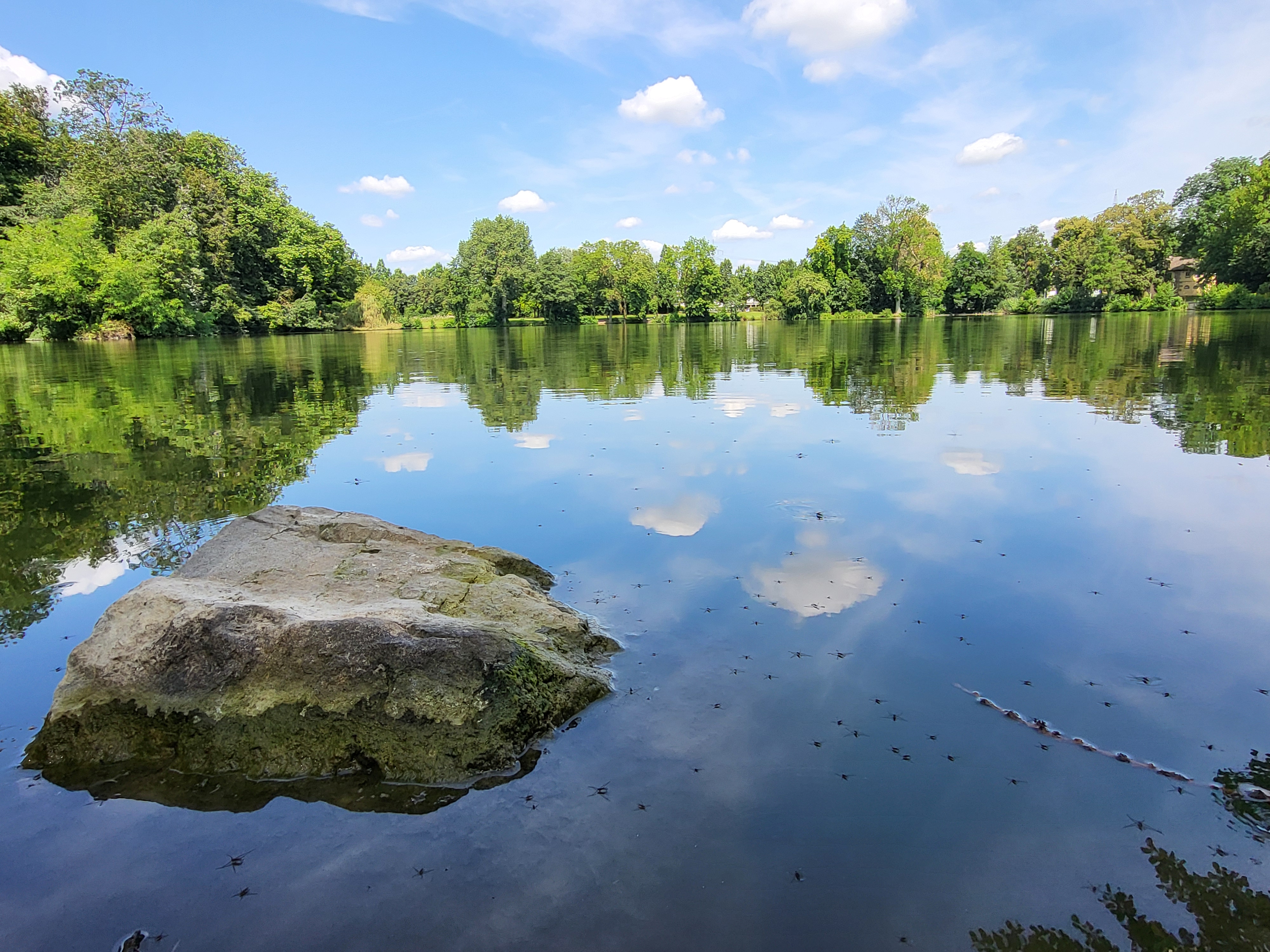 a rock in the water