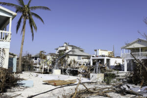 a palm tree next to a house