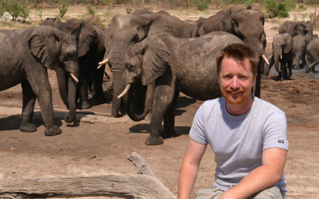 a man sitting on a log with elephants in the background