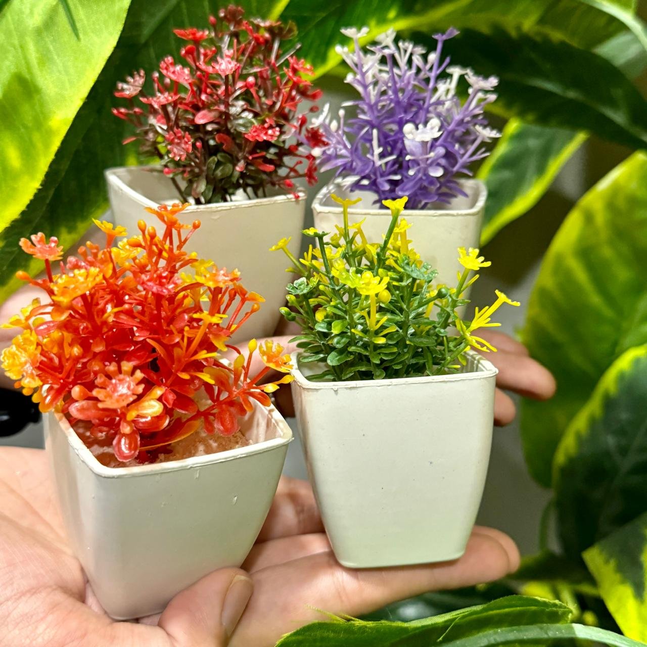 a hand holding small potted plants