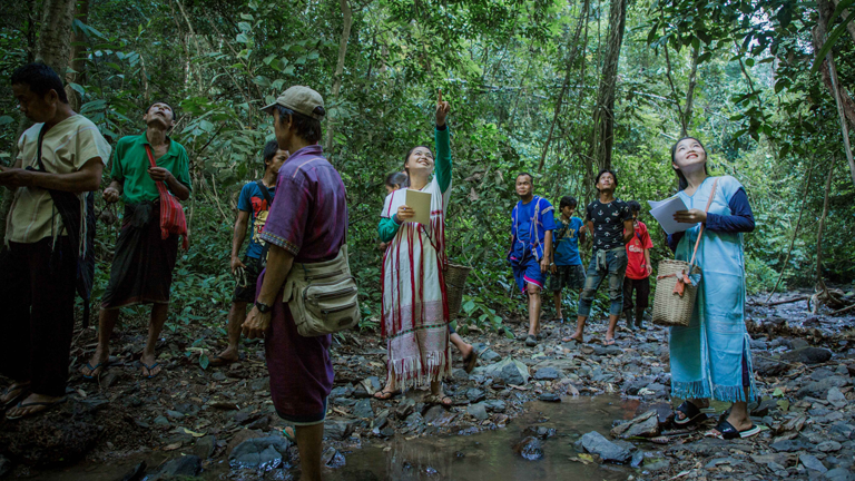 a group of people in the woods