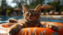 a cat lying on an orange float