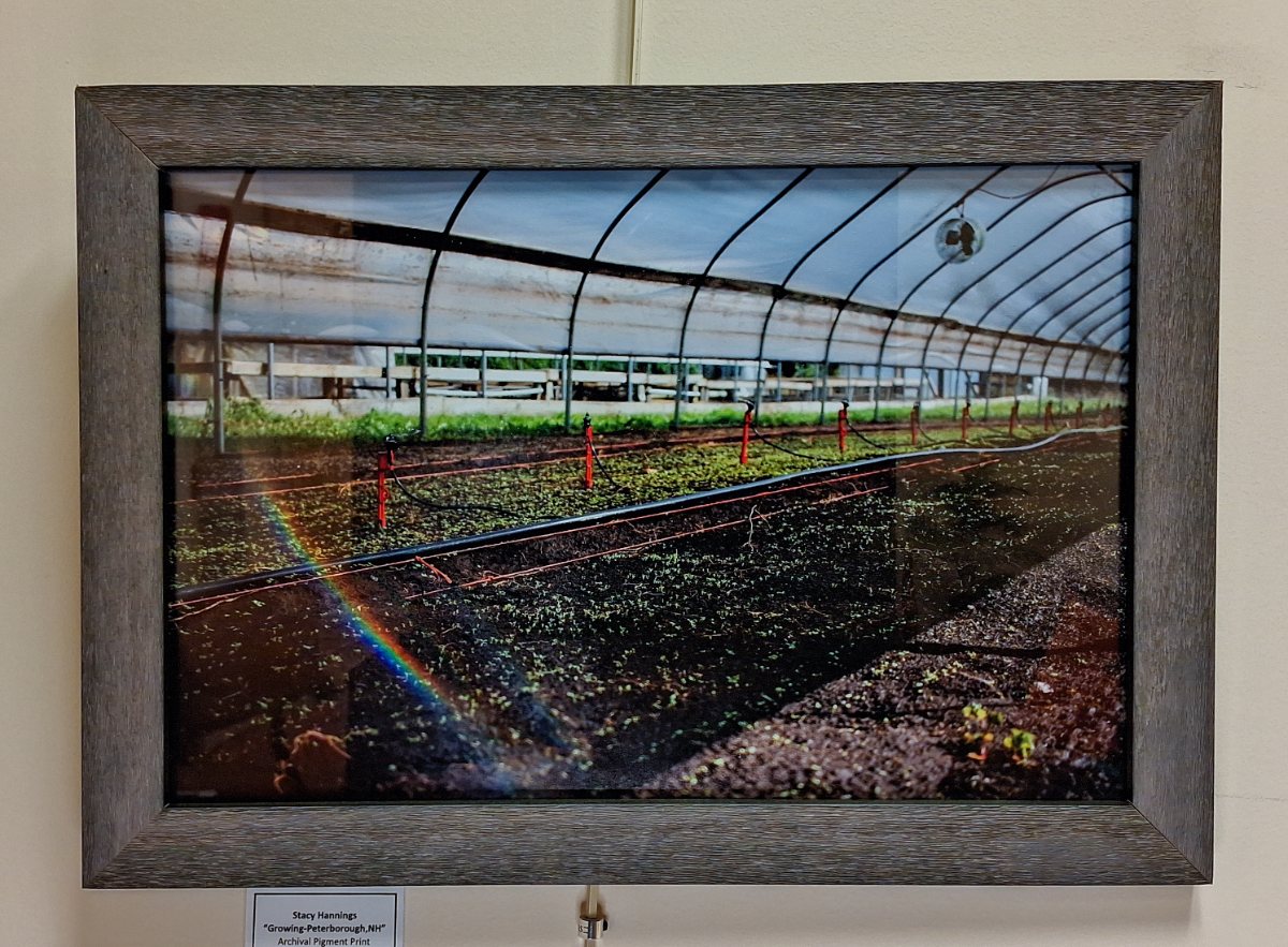 a picture of a train track in a greenhouse