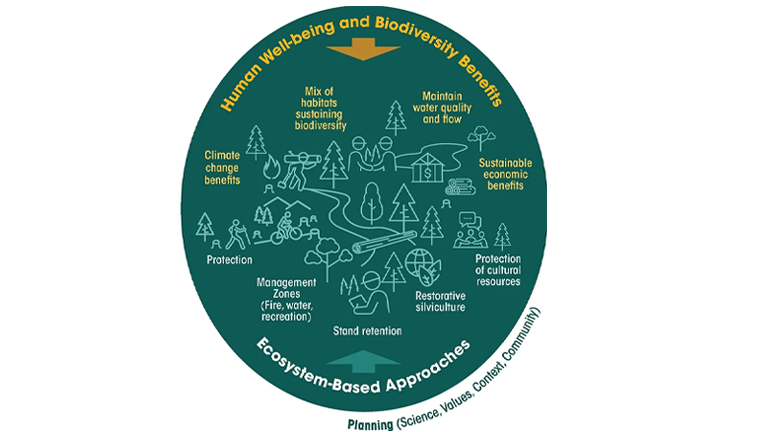 a diagram of a diagram of a life cycle