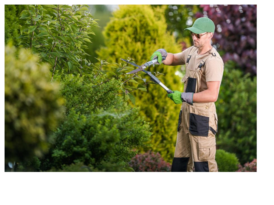 a man in overalls cutting bushes