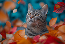 a cat surrounded by leaves