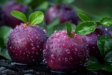 a group of purple apples with water droplets on them