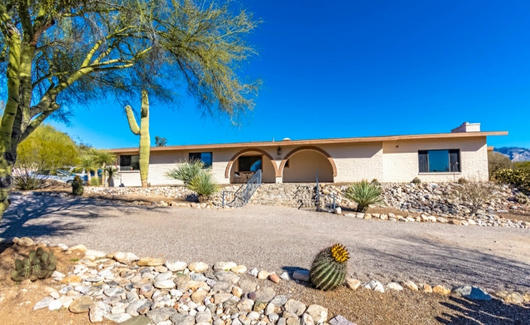 a house with a cactus in front of it