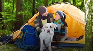 a man and woman sitting in a tent with a dog