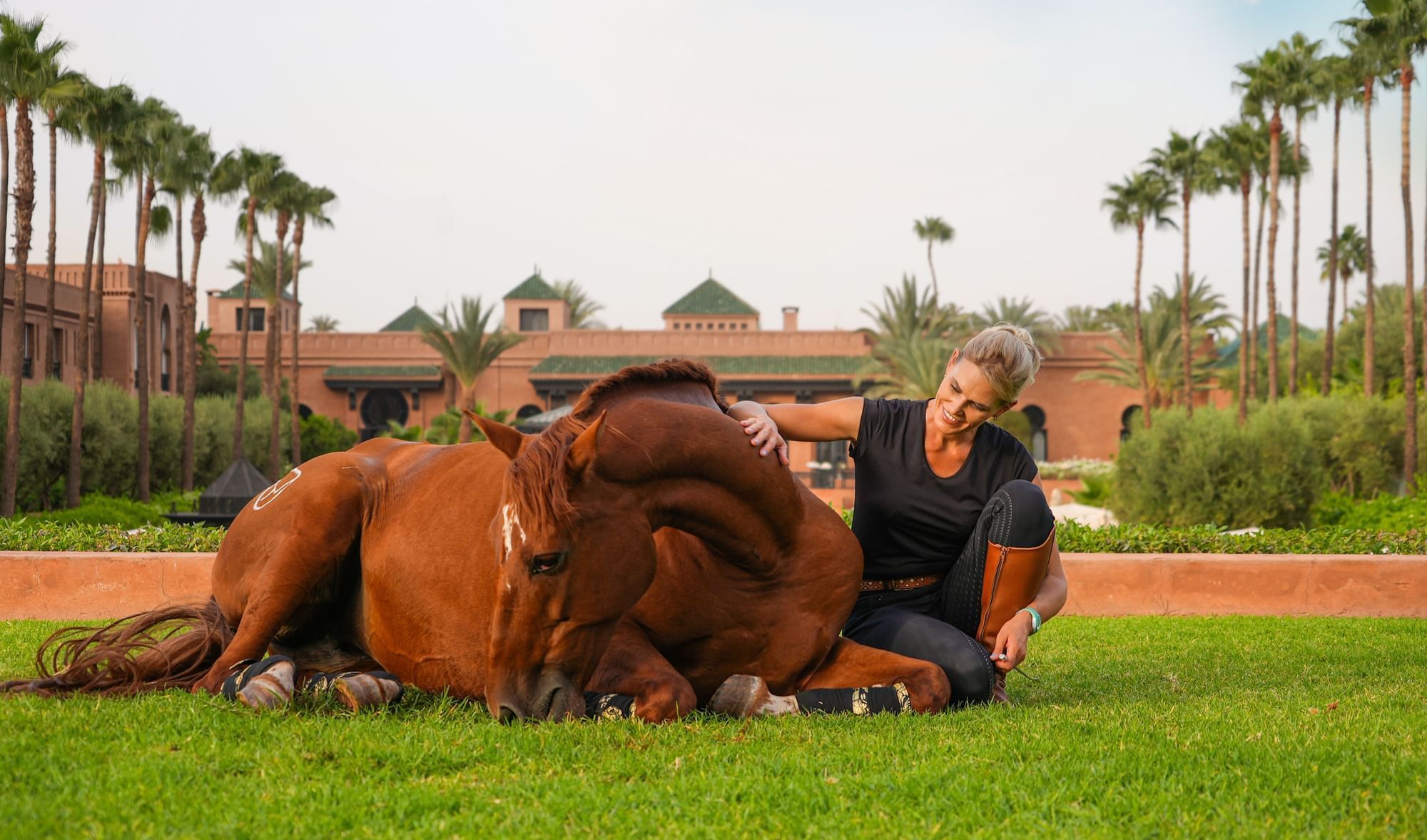 a woman sitting on grass with a horse