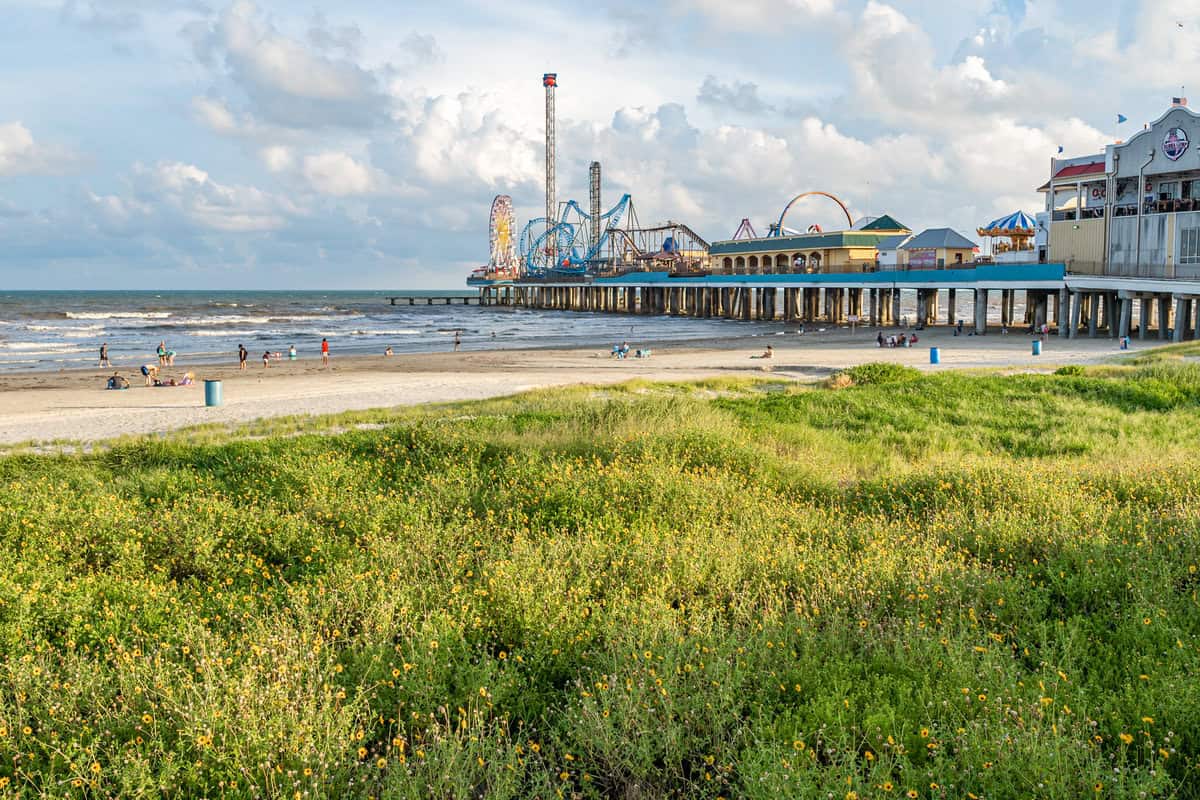 a beach with a pier and a ferris wheel