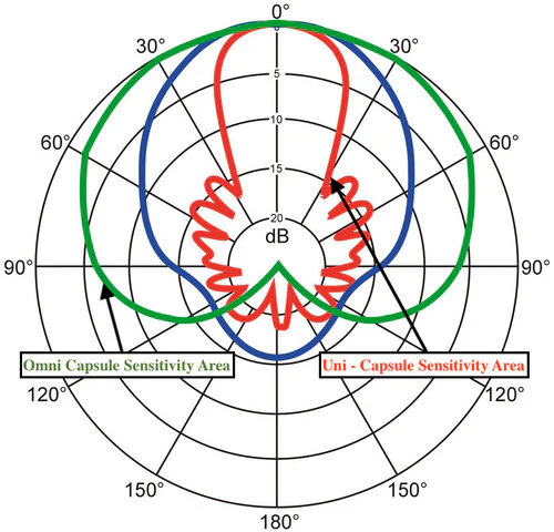 a diagram of a capsule