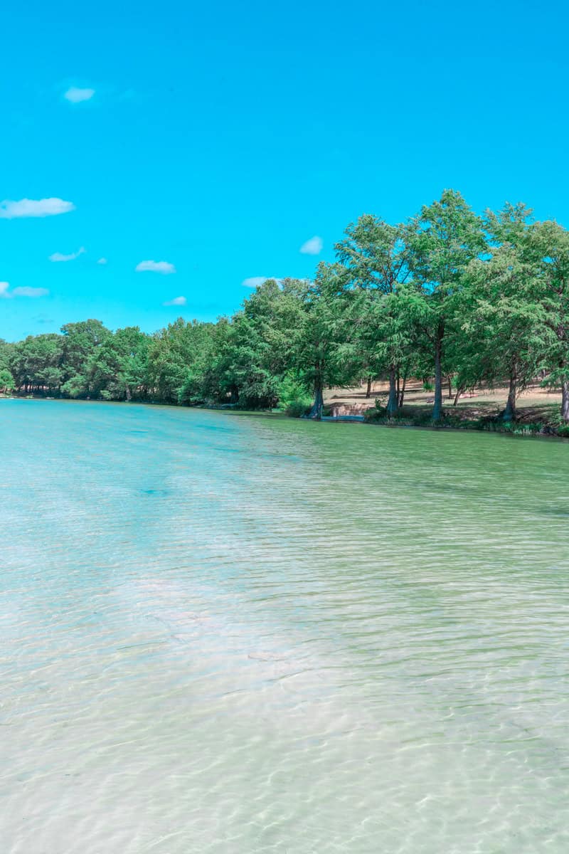 a body of water with trees on the side