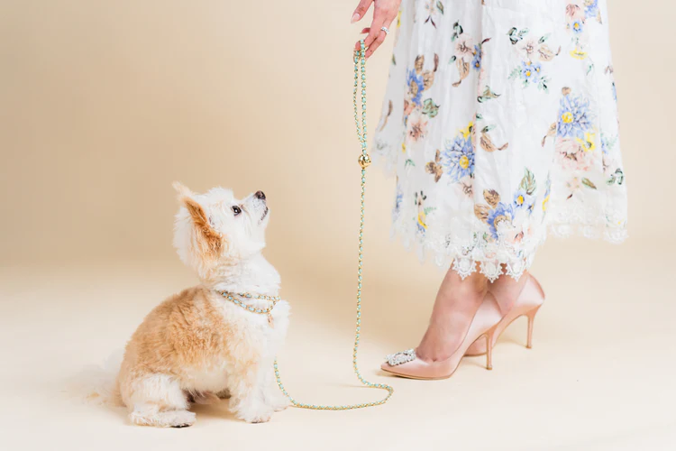 a woman in high heels and a dress with a dog on a leash