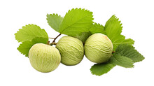 a group of green round fruits with leaves