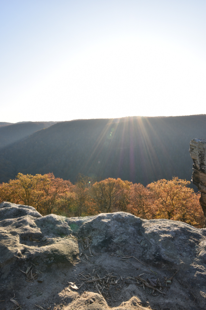 a rock cliff with trees in the background