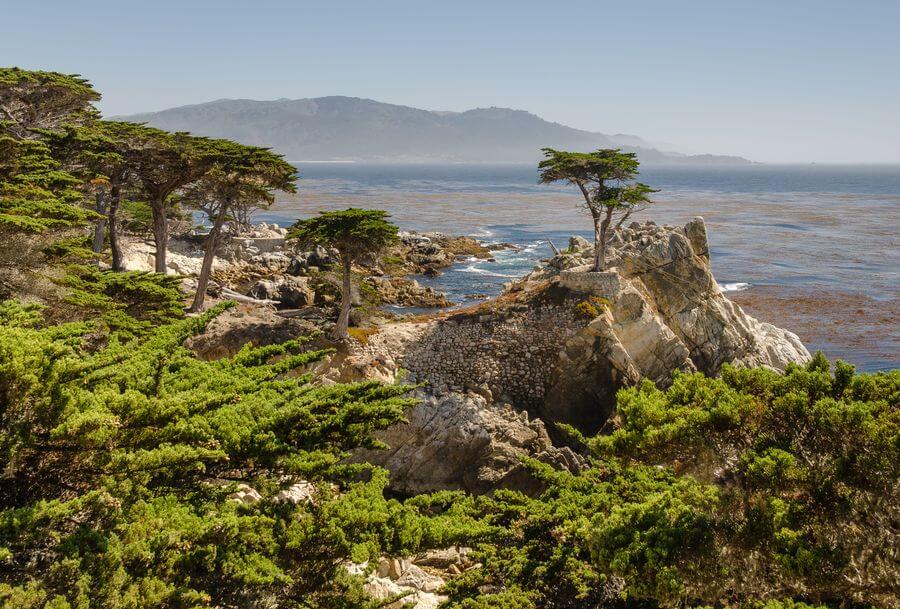 a rocky coastline with trees and water with 17-Mile Drive in the background