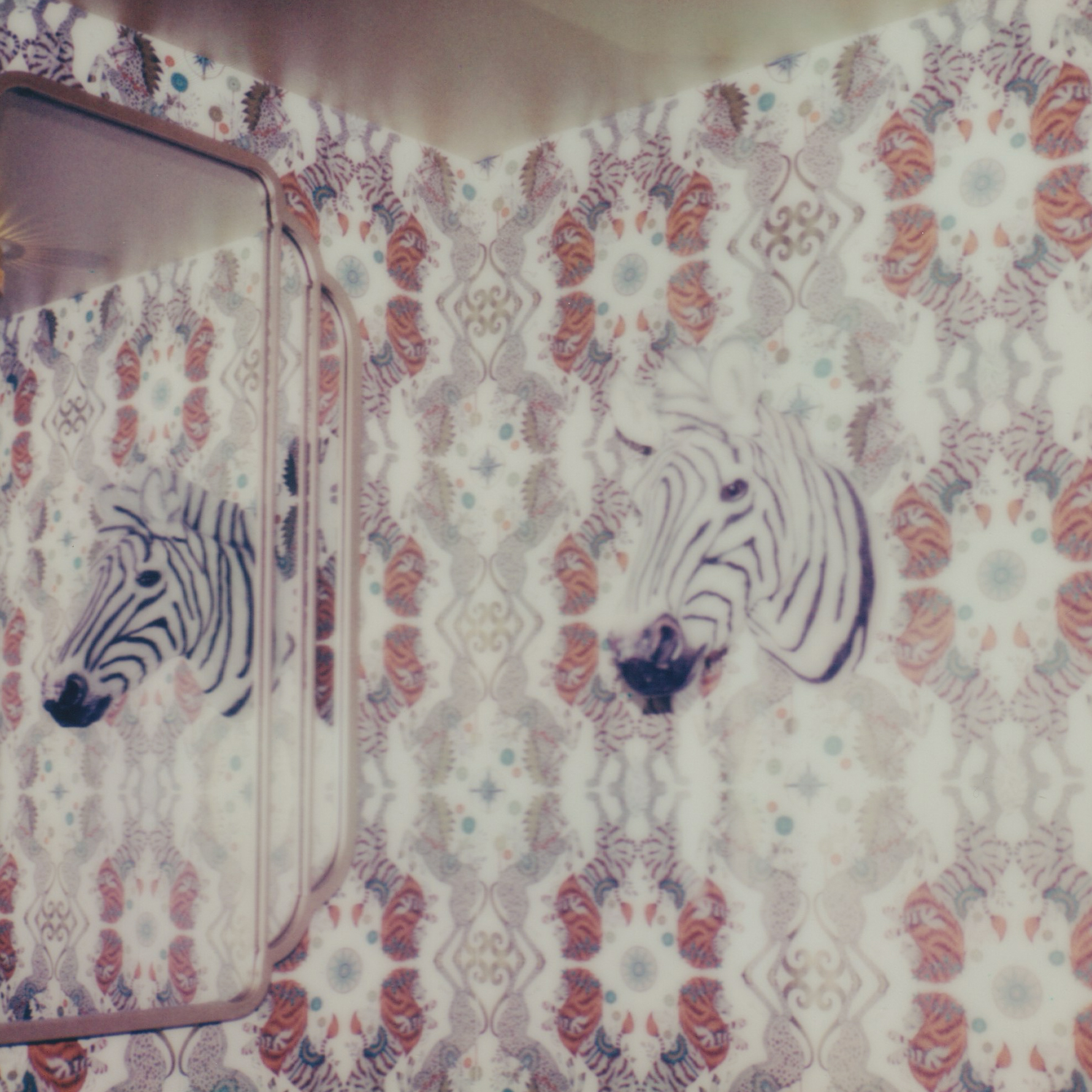 a mirror with zebra heads on the wall