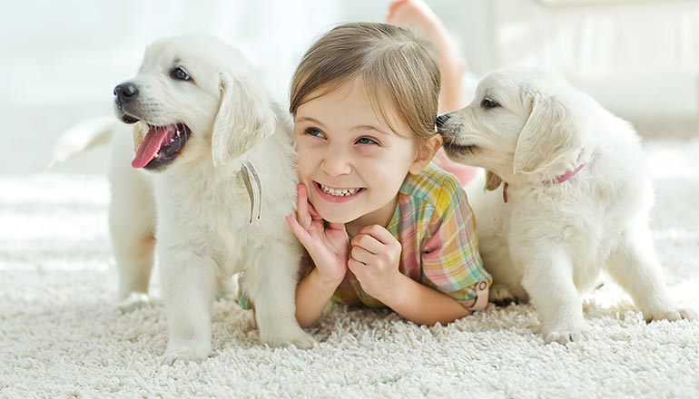 a girl lying on the floor with two puppies