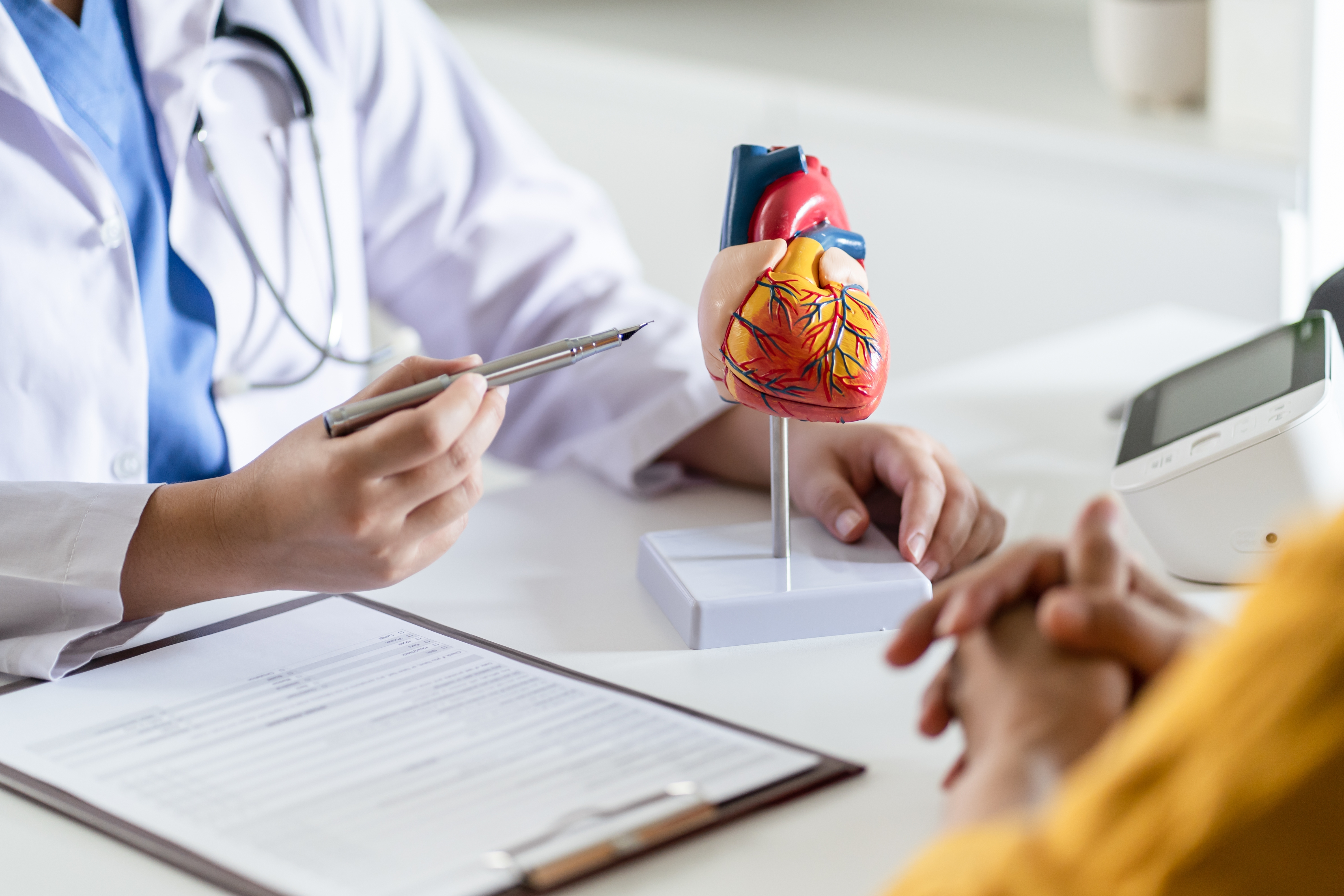 a doctor holding a pen and a model of a heart