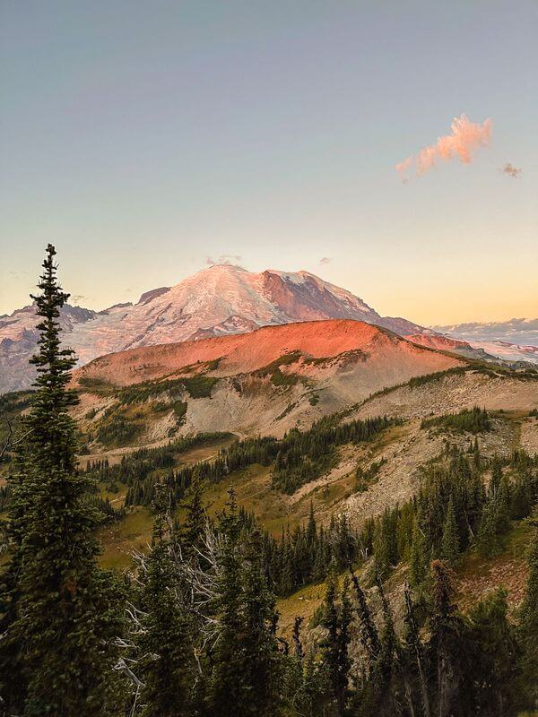 a mountain with trees and a snowy peak