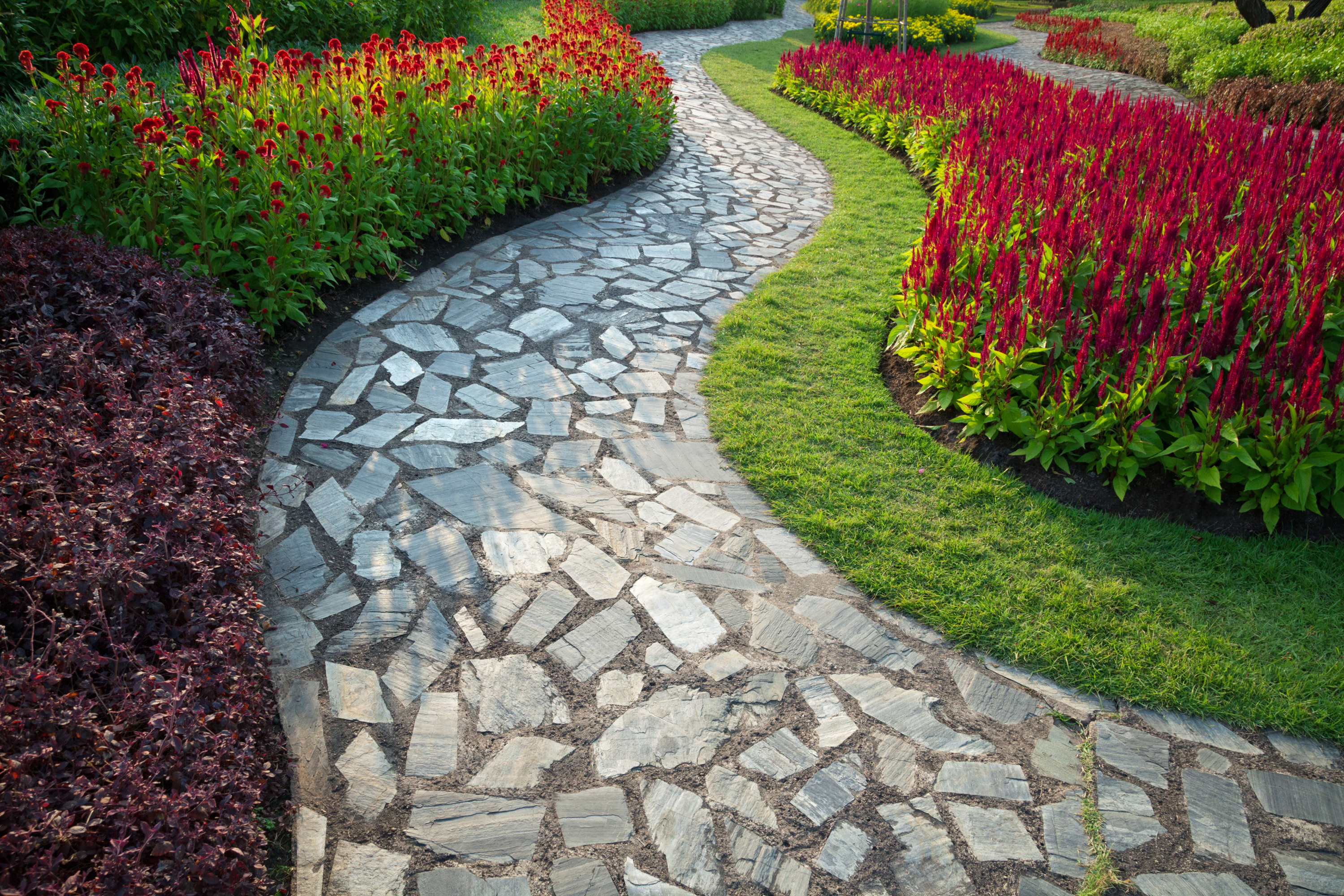 a stone path with flowers and plants