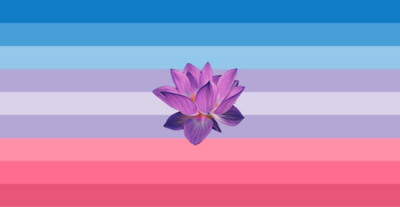a purple flower on a colorful background