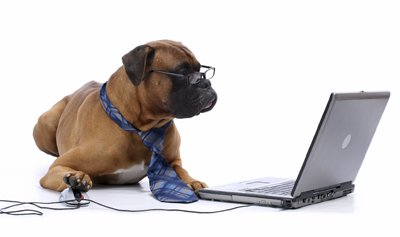 a dog wearing glasses and tie and sitting in front of a laptop