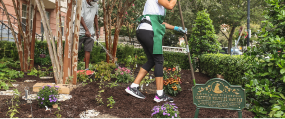 a woman and man gardening