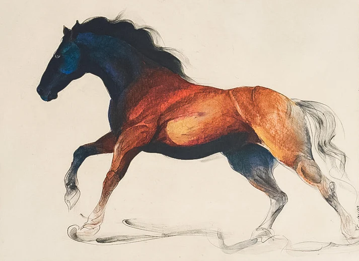 a drawing of a horse