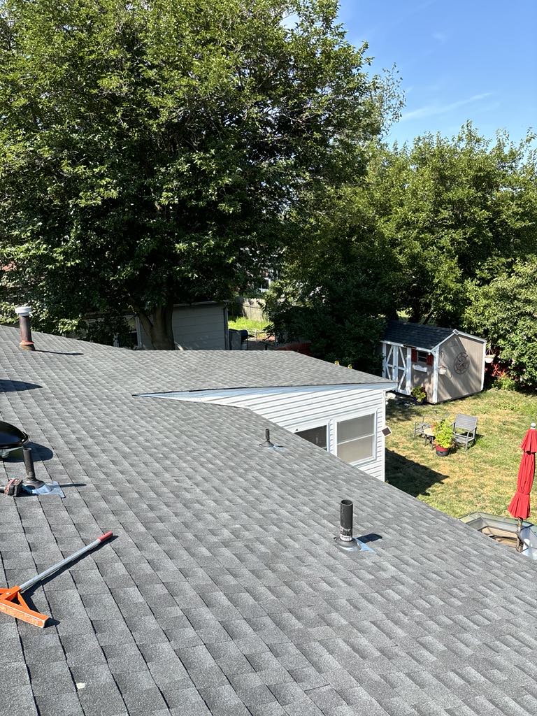 a roof of a house with trees and a shed