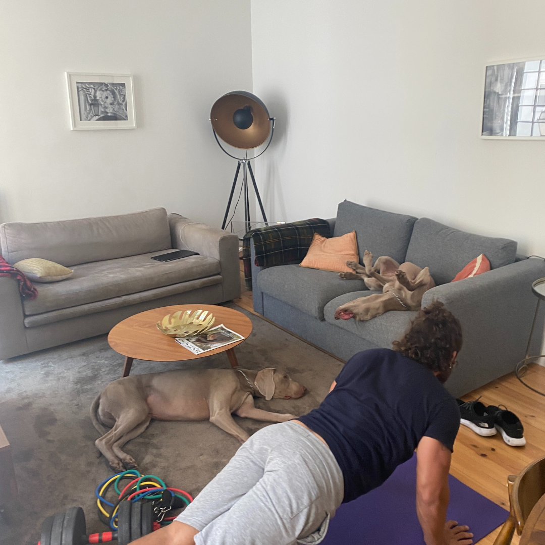 a man doing push ups in a living room with a dog lying on the floor