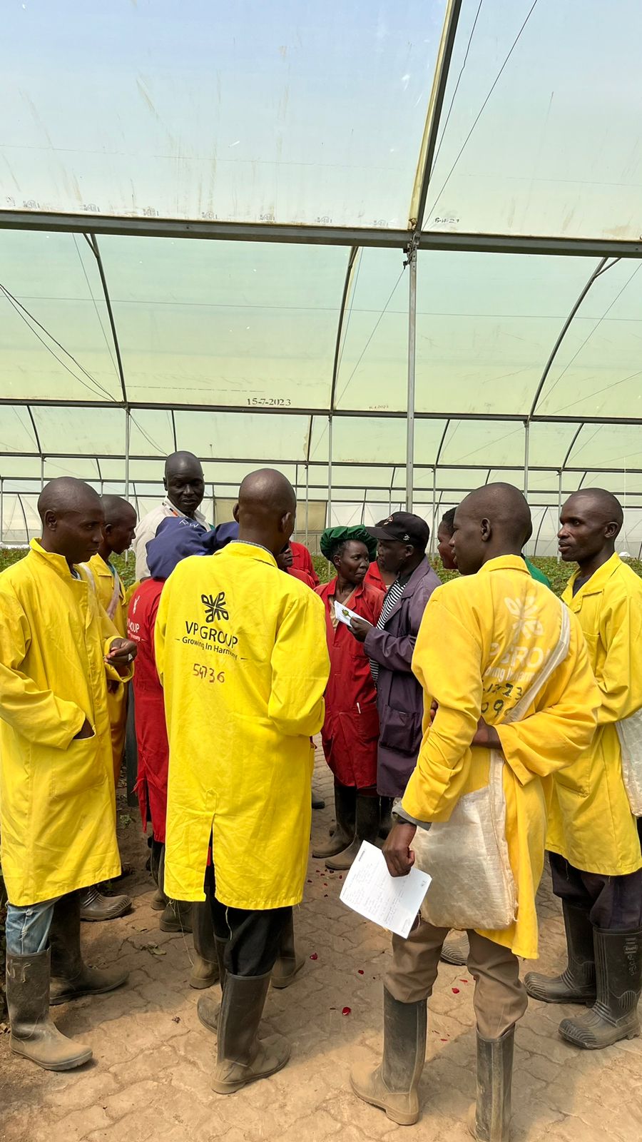 a group of people in yellow coats in a greenhouse
