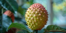 a fruit on a plant