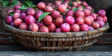 a basket of red berries