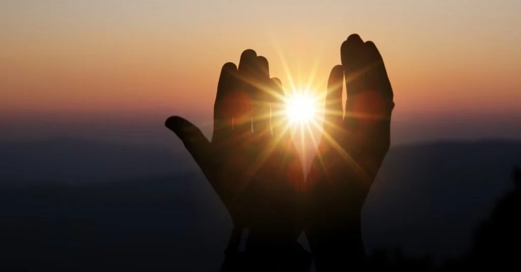 a pair of hands reaching for the sun