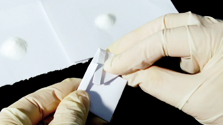 hands holding a piece of paper