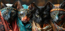 two cats wearing scarves and a mask