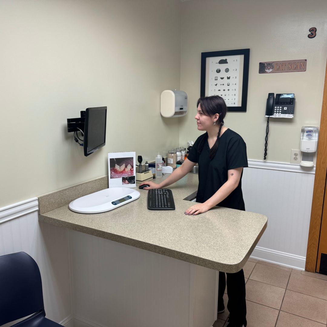 a woman standing at a desk