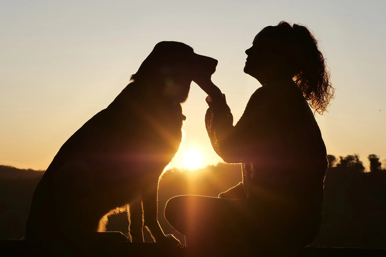 a silhouette of a woman and a dog