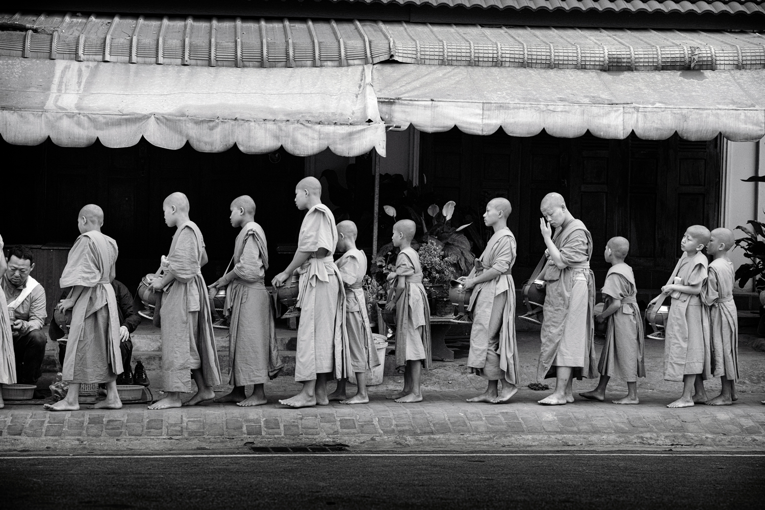 a group of young monks standing in a line