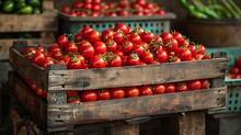 a group of tomatoes in a crate