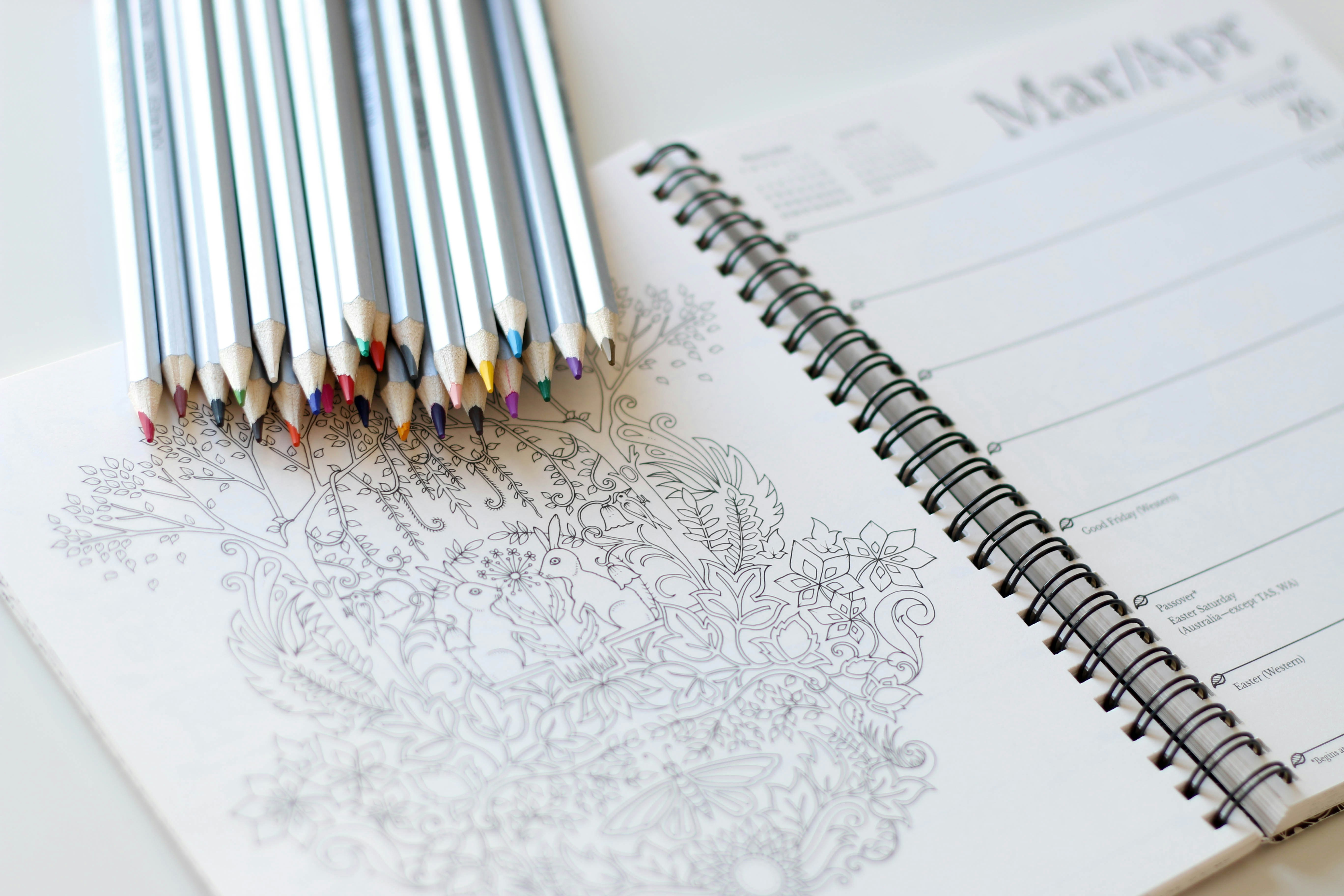 a group of colored pencils on a spiral bound notebook